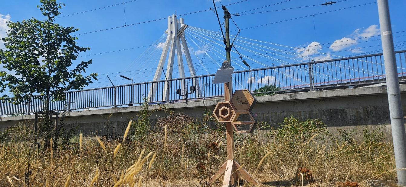 Bee hotel installed in an urban meadow near a cable-stayed bridge.