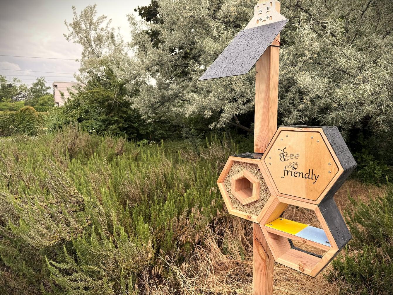 Bee hotel in a garden with hexagonal wooden compartments.